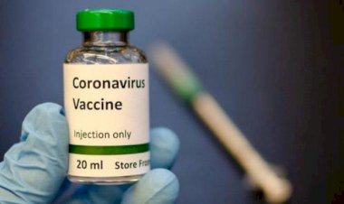 Obat Ini Bisa 48 Jam Bunuh Virus Corona, Begini Cara Kerjanya