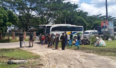 Ratusan Pekerja dari Pulau Jawa Masuk ke Sarolangun, Ini Tujuannya