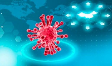 Lapor Pak Jokowi, Bupati Bogor Desak Setop KRL Jabodetabek: Kemenhub Kaji Ulang Keputusan Ini!