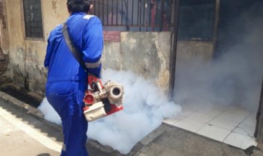 Meski Pandemi COVID-19, Jubir Pemerintah: Waspadai Demam Berdarah