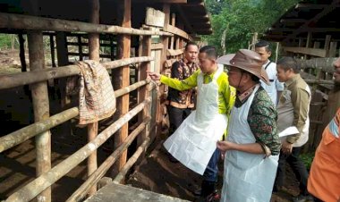 Wabup Bungo Apri Dampingi Gubernur Jambi Kunker ke Sentra Peternak Jujuhan