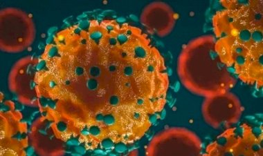 Virus Covid-19 Bermutasi, Peneliti Kini Temukan Jenis Sangat Bahaya