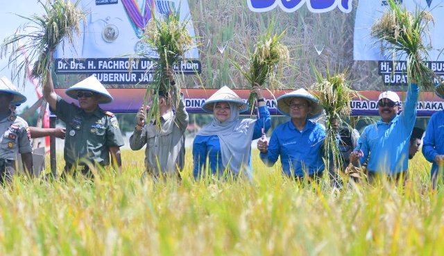 Fachrori : Pemerintah Bersinergi Memacu Peningkatan Produksi Pangan