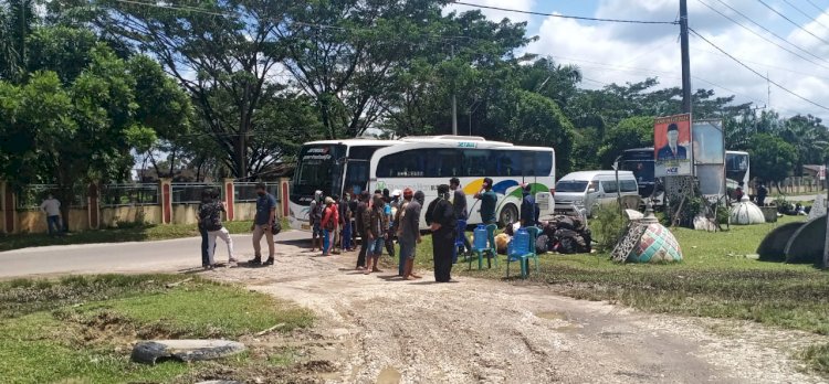 Ratusan Pekerja dari Pulau Jawa Masuk ke Sarolangun, Ini Tujuannya