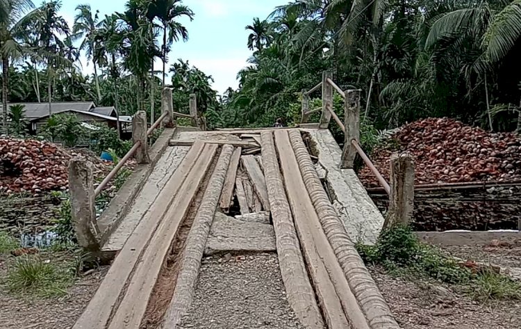 Pak Bupati, Jembatan di Desa Jati Mas Ini Rusak Parah