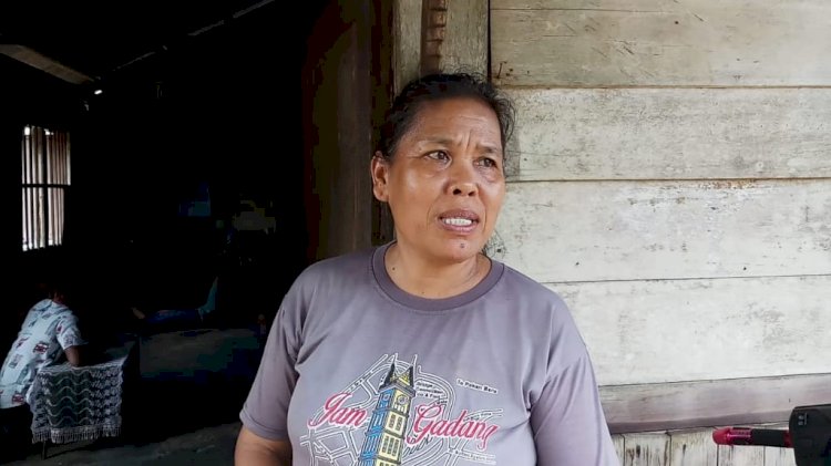 Hasil Penjualan Ubinya Nihil, Petani di Kota Jambi Ini Makan Seadanya untuk Hidup