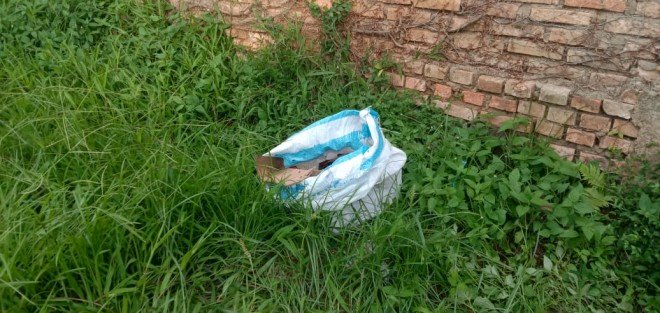 Heboh, Warga Rawasari Kota Jambi Temukan Mayat Bayi di Dalam Kardus