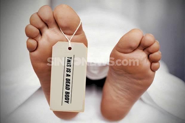 Tertimpa Dahan Pohon, Pekerja Listrik di Sarolangun Ini Tewas