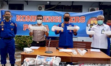 Penyidik Ditpolairud Polda Jambi Masih Buru Pemilik Benih Lobster Rp4 Miliar