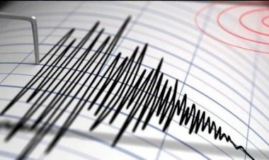 Gempa 7,3 SR Goncang Maluku Malam Ini, Tak Berpotensi Tsunami