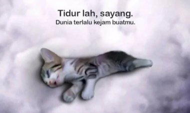 Tiga Wanita Injak Anak Kucing Hingga Mati Diduga Kuat Kelainan Seksual