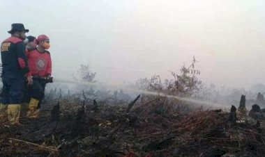 Divonis Bersalah, PT ATGA Jambi Pertanyakan Sertifikasi Hakim