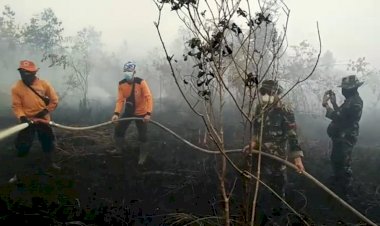Dapat Perlawanan dari PT ATGA Jambi, KLHK Siapkan Kontra Banding
