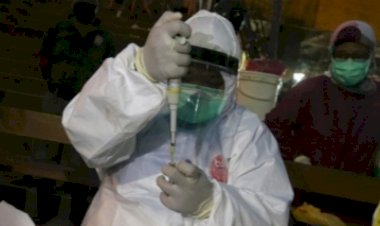 Waduh! Camat, Sekcam, Kasi Hingga Lurah Sukolilo Surabaya Reaktif COVID-19