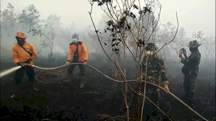 Dapat Perlawanan dari PT ATGA Jambi, KLHK Siapkan Kontra Banding