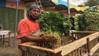 Viral Pedagang Buang Sayur di Malang Gara-gara Corona, Kini Diborong Pemkab untuk Dapur Umum