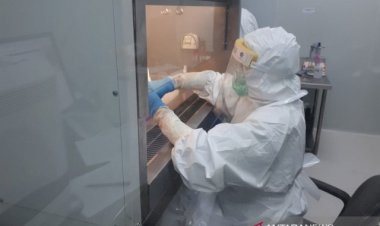 Duh! Pasien Isolasi COVID-19 di Bengkulu Diminta Membayar Rp6,7 juta