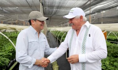 Presiden Terinfeksi Virus Corona