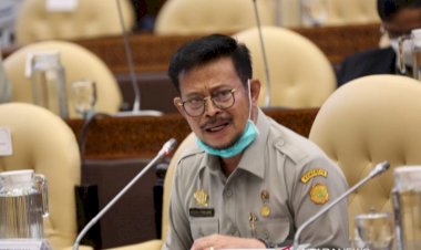 2021 Kementan Targetkan Produksi Padi capai 63,5 Juta Ton