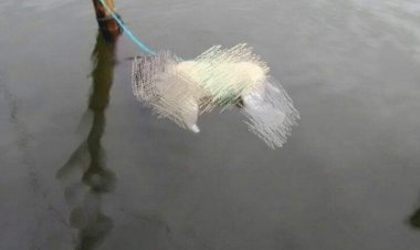 Ya Allah!!! Bayi Malang di Kerinci Ini Diikat dan Dibuang ke Sungai