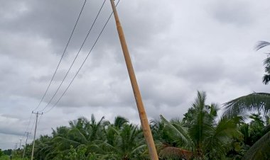 Baru Dibangun Provinsi, Tiang Listrik Program Lisdes di Tanjab Barat Sudah Miring