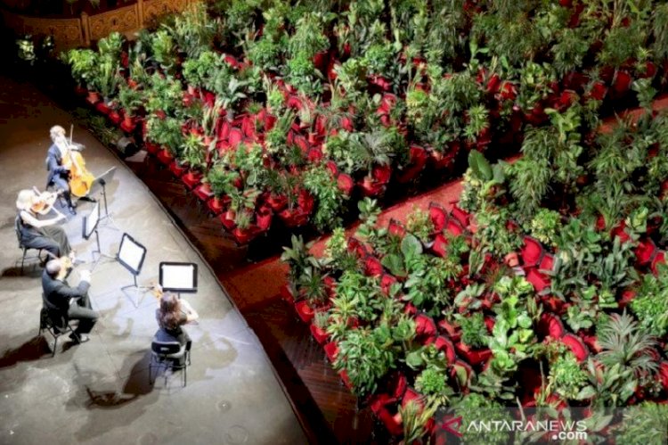 Ribuan Tanaman jadi Penonton Konser di Gedung Opera Liceu Barcelona