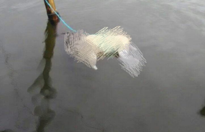 Ya Allah!!! Bayi Malang di Kerinci Ini Diikat dan Dibuang ke Sungai