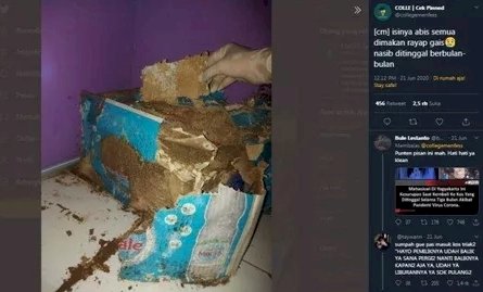 Mudik ke Kampung 3 Bulan, Pulang ke Kos Mahasiswa Ini Kaget Bukan Kepalang