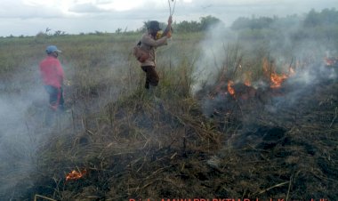 Dengan Alat Seadanya, Karhutla di Muarojambi Berhasil Dipadamkan