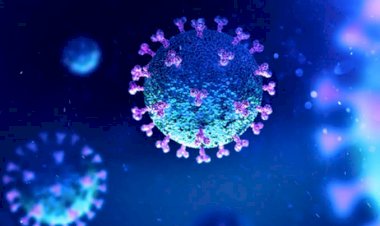 Duh! COVID-19 Pada 8 Juli Nyaris Bertambah 2.000, Kini Capai 68.079