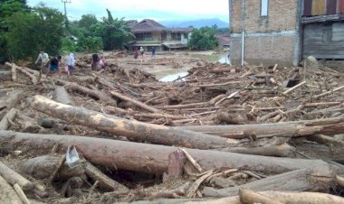 Banjir Bandang di Luwu Utara Akibatkan 223 Rumah Rusak Berat