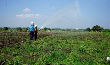 Risma Siapkan Program Kedaulatan Pangan Hadapi Pandemi COVID-19