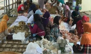 BPOM Larang Penggunaan Plastik Hitam Pembungkus Daging Kurban