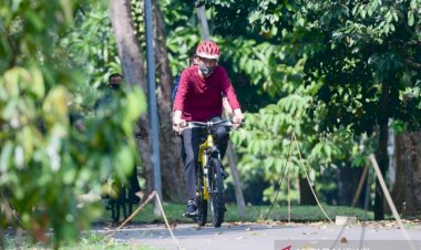 Jokowi Pastikan Dirinya dan Ibu Negara Negatif COVID-19