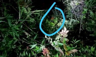 Warga Gunung Tujuh Kerinci Digegerkan Penemuan Mayat