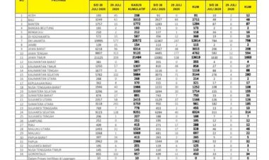 Update Corona Jambi 29 Juli, Pasien Positif Melonjak Naik, Pasien Sembuh Bertambah 2 Orang