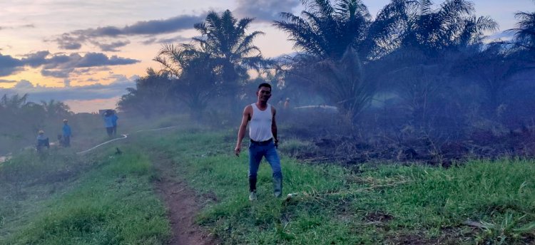 Karhutla di Muarojambi, 3 Hektare Lahan Gambut Terbakar