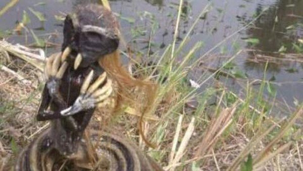 Begini Kata Kades Keangkeran Embung di Lokasi Dua Jenglot Ditemukan