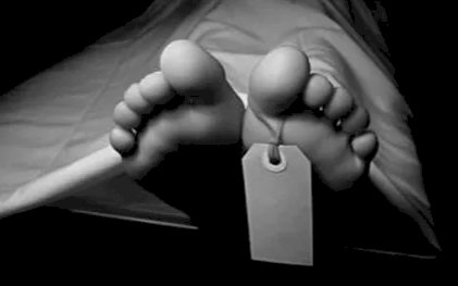 Remaja Tewas Dililit Ular Sepanjang 4 Meter di Tangsel