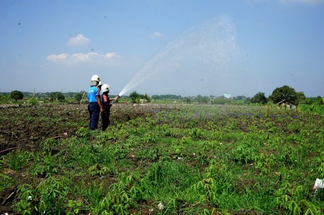 Risma Siapkan Program Kedaulatan Pangan Hadapi Pandemi COVID-19