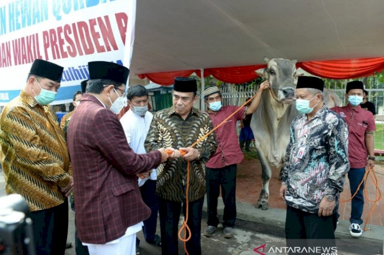 Presiden Jokowi Serahkan Sapi Kurban 1 Ton ke Masjid Istiqlal