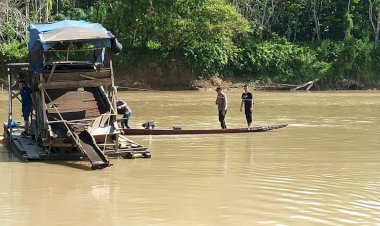 Dirazia Petugas, Penambang Emas di Tanjung Menanti Bungo-Jambi Nekat Kabur Berenang