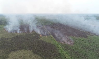 Karhutla Terus Mengancam Muarojambi, Lahan HGU PT Kharisma Terbakar