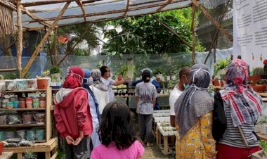 Berawal dari Hobi, Wanita Asal Maumere Ini Bisa Hasilkan Omzet Besar dari Jualan Kaktus