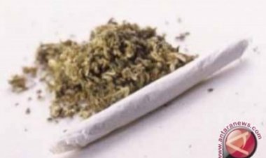 Polres Tanjung Priok Tangkap Drumer Band J-Rocks dan Tiga Orang, Bersama BB 1 Kg Ganja