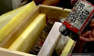 Kotak Hitam: Pesawat Ukraina Ditembak Dua Kali dengan Selisih 25 Detik