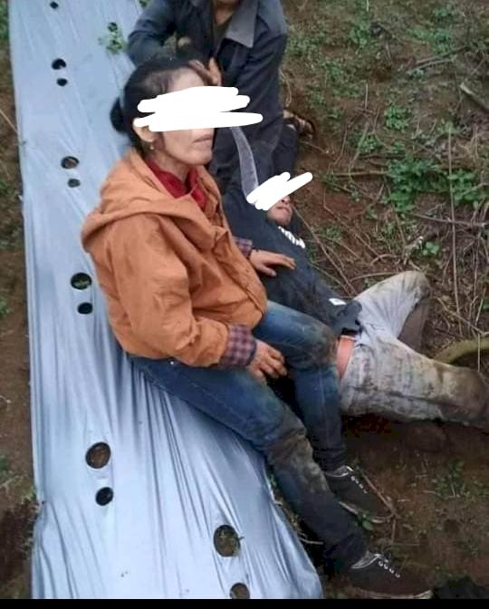 Curi Kentang dan Cabai, Pasangan Suami Istri di Kerinci Ini Ditangkap Warga