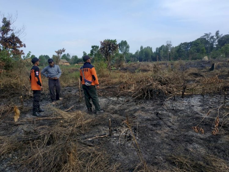 Karhutla Mulai Mengancam Muarojambi, Lahan Milik Warga Sekernan Terbakar