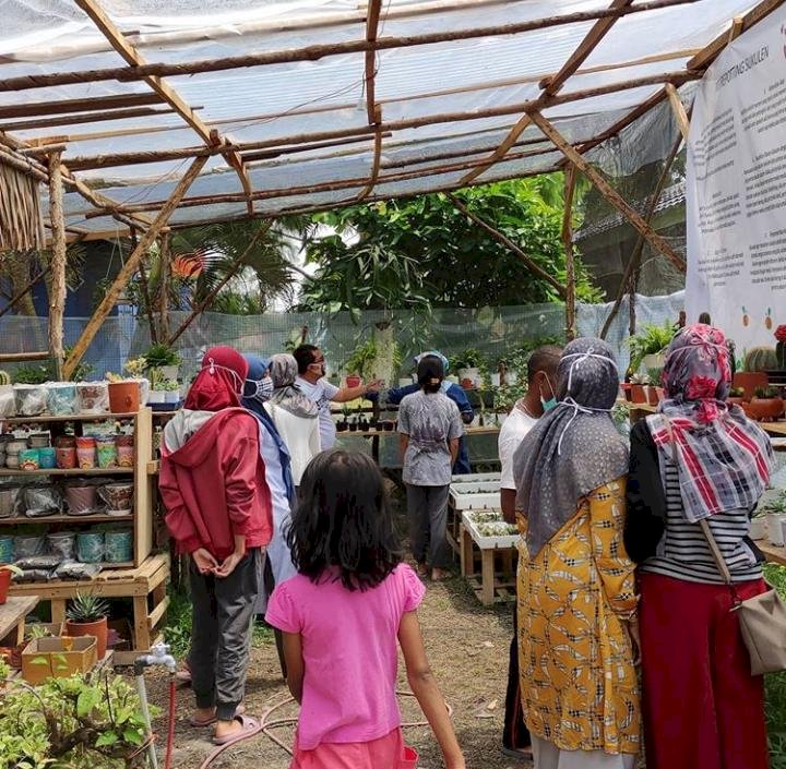 Berawal dari Hobi, Wanita Asal Maumere Ini Bisa Hasilkan Omzet Besar dari Jualan Kaktus