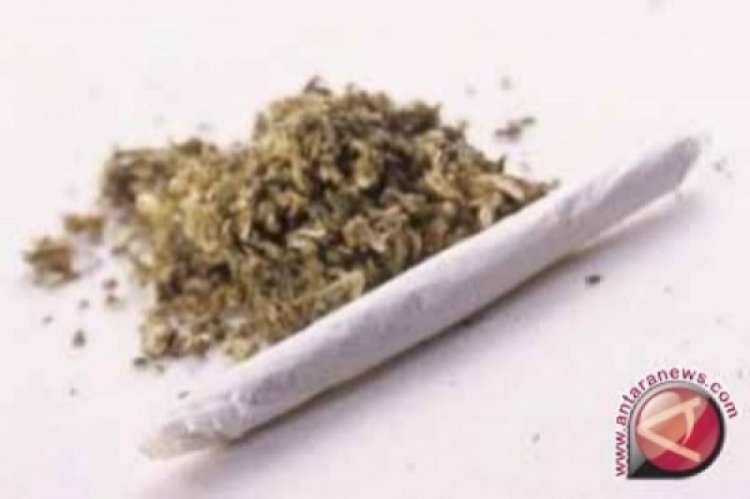 Polres Tanjung Priok Tangkap Drumer Band J-Rocks dan Tiga Orang, Bersama BB 1 Kg Ganja